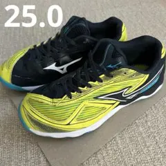 ミズノ　Wave Medal 7 ウェーブ モデル7卓球シューズ 25センチ