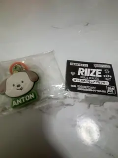 RIZEアントン ぷっくりめじるしアクセサリー