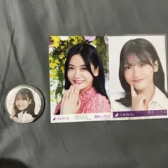 Item thumbnail for item 1597cbbf-b164-438a-945f-e09fed346428