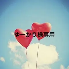 ゆーかり様専用⋆☽︎︎·̩͙サージカルステンレスピアス