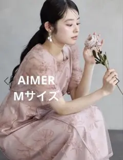 2026年最新】AIMER エンブロイダリーチュールパイピングドレスの人気