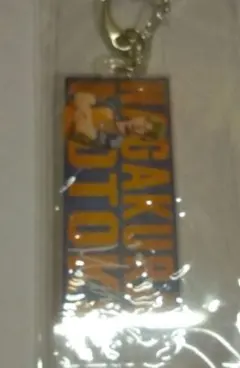 アルビレックス新潟　長倉幹樹選手　キーホルダー　クッション 2025年最新】アルビレックス 長倉幹樹の人気アイテム - メルカリ