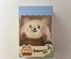 NCT DREAM Dreamiez bamjji ぬいぐるみ チソン - メルカリ