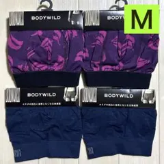 Item thumbnail for item 8d4ca1c2-2886-4486-8f73-2daf63825ddb