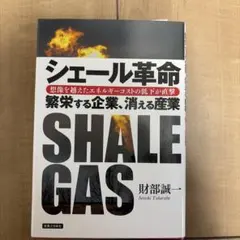 Item thumbnail for item 82c5464c-f62d-4feb-a9ea-5388c5d86376