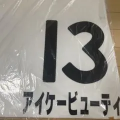 Item thumbnail for item eba46ee9-87ee-484e-b237-878cc0572683