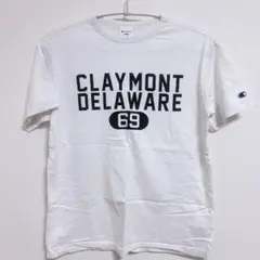 チャンピオン Tシャツ Lサイズ