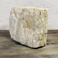 [0] 珪化木 15×10cm (すり鉢加工/磨き上げ) 0] 珪化木 15×10cm (すり鉢加工/磨き上げ) - メルカリ