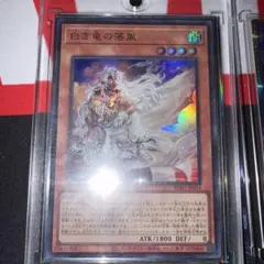 遊戯王　白き竜の落胤／ウルトラ
