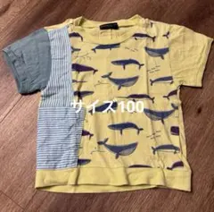 Zuppa di zucca ズッカ 半袖　Ｔシャツ　くじら　海　100のサムネイル