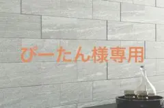 ぴーたん様専用14エコカラットプラス　ヴァルスロック