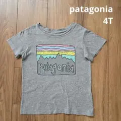 【patagonia】 半袖 Tシャツ トップス グレー