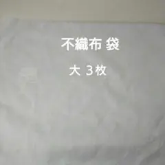 不織布袋 大 ３枚 （ Bshop２枚&無地１枚）