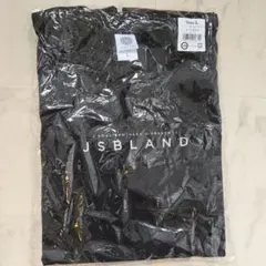 三代目J Soul BrothersJSBTシャツ