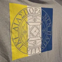 グレー Tシャツ Diaspora skateboardsのサムネイル