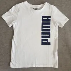 PUMA プーマ　半袖　Tシャツ　ホワイト　116