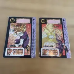 ドラゴンボールZ カードダス　2枚セット