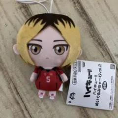 ハイキュー!! ぬいぐるみちゃーむ vol.2 孤爪研磨