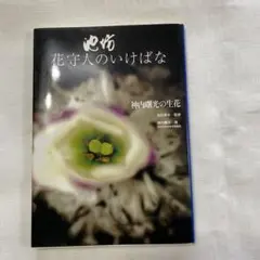 RIN RIN48様 リクエスト 2点 まとめ商品