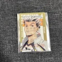 Item thumbnail for item 9a5e9546-b8e9-4cdd-ae64-37b6fdce8dcf