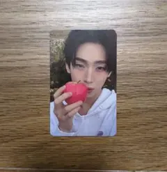 ENHYPEN THE SIN: VANISH トレカ ソヌ