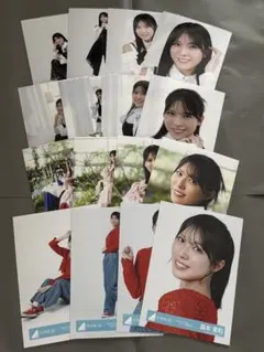 櫻坂46 rabbit マリン ジャケット 生写真 16 種 コンプ 遠藤光莉