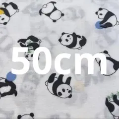 【匿名配送】スケア生地　オフホワイト地　パンダ柄　綿100％ 生地幅×50cm