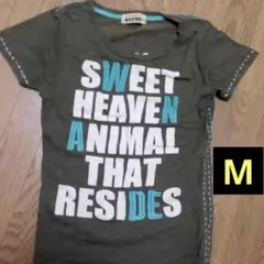 美品‼️Righton Tシャツ　ロゴ　刺繍のサムネイル