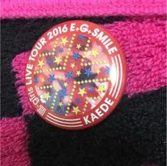 EーGirls 楓 缶バッチ