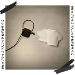 【248】10cm ぬい服　カジュアルコーデ 入門 セット