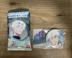 彩光キラキラカンバッジコレクション 五条