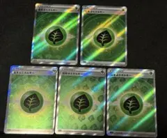 基本草エネルギー sr 5枚セット