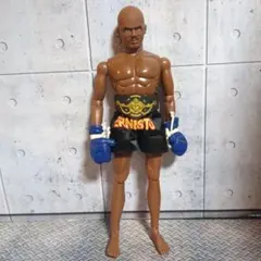 ドリー・ファンク・ジュニア テリー・ファンク ザ・ファンクス