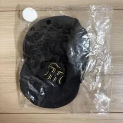 阪神タイガース ミニキャップ ポーチ