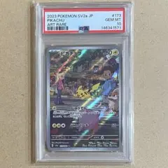 カラカラ AR PSA10 中国版 - メルカリ