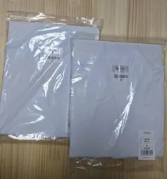 Item thumbnail for item 18316044-128d-4b33-8f48-01e8f9cec47f