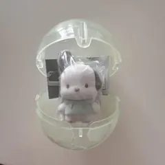 サンリオキャラクターズ　カラフルカラビナ　マスコットチャーム　【ポチャッコ】