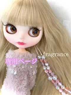 ♡カスタムオーダー専用ページ♡  アイシードール　白肌　ストレート　プラチナ