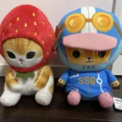 チョッパーといちご帽子猫ちゃん