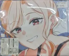 その着せ替え人形は恋をする 抱き枕カバー/喜多川海夢（冬）