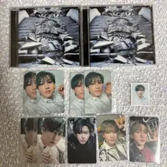 straykids GIANT チャンビン　トレカ　アルバム　開封済み　会場限定