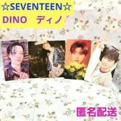 ♥️SEVENTEEN　ディノトレカ♥️ セブチ　dino　セブチトレカ