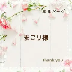 まこり様専用ページ☆移動ポケット10点　☆2つポケットタイプ