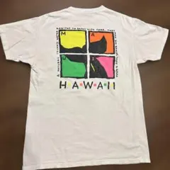 B*E様 激レア90s USA製 MILLER マウイ島クジラネオン アートTシのサムネイル