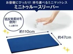 トゥルースリーパー　ごろ寝マット　2枚セット　新品　未開封 新品・未使用・未開封】ミニトゥルースリーパー ごろ寝マット 1枚