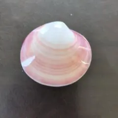 天然貝の置物 ピンクと白のストライプ
