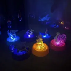 ポケモン　光る！ポケモンコレクション