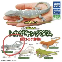 Item thumbnail for item 60a4077f-0e42-41af-93d4-eef1f65cef13