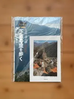 Item thumbnail for item 71e68751-5f96-4c6e-a0be-baff22babc86