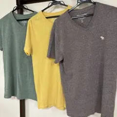 く*猫様 Abercrombie & Fitch VネックTシャツ 3色セット